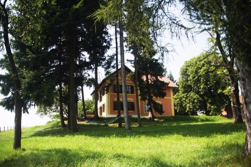 Mestni Hill Farm Stay
