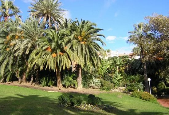 Villa Maria Serena