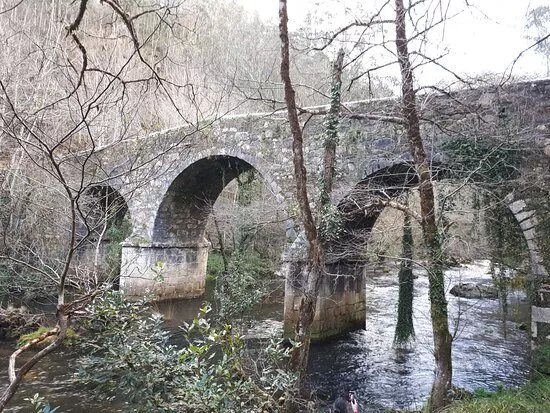 Puente del Puerto