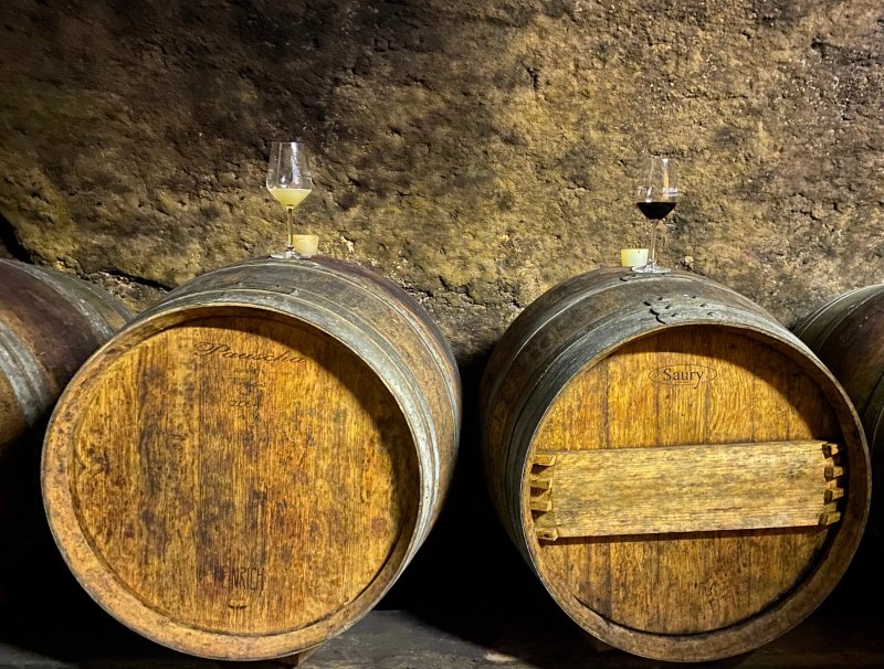Ferienwohnungen Weingut Kieslinghof