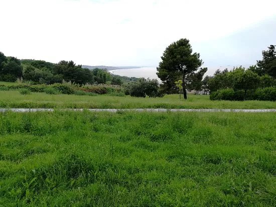 Parco Belvedere Posatora