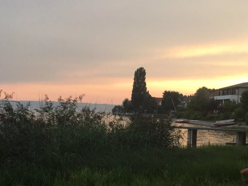 Ristorante - Pizzeria Schiff