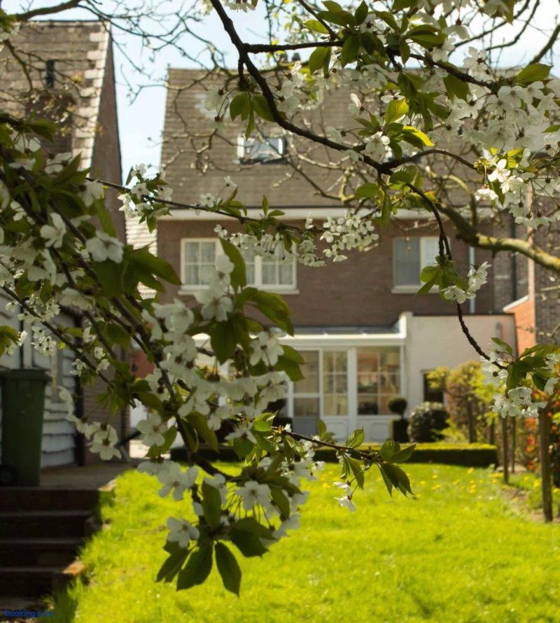 B&B Den Boomgaard