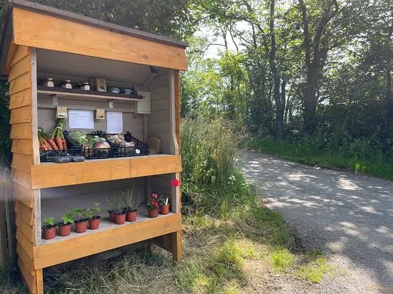 Berry Lane Farm Shop