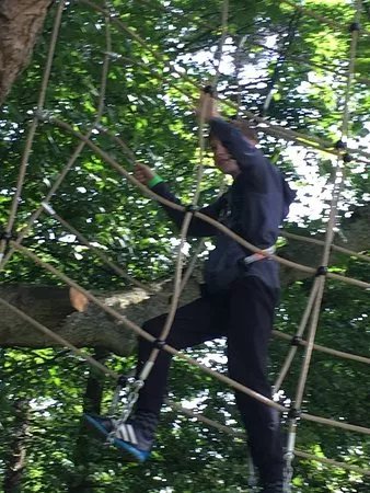 Arial Trail