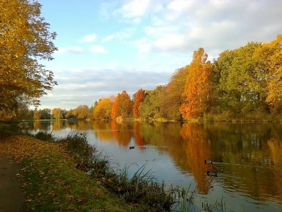 Insel Stein