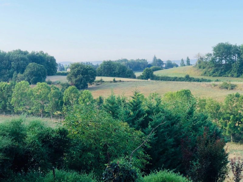 Domaine Bessiere