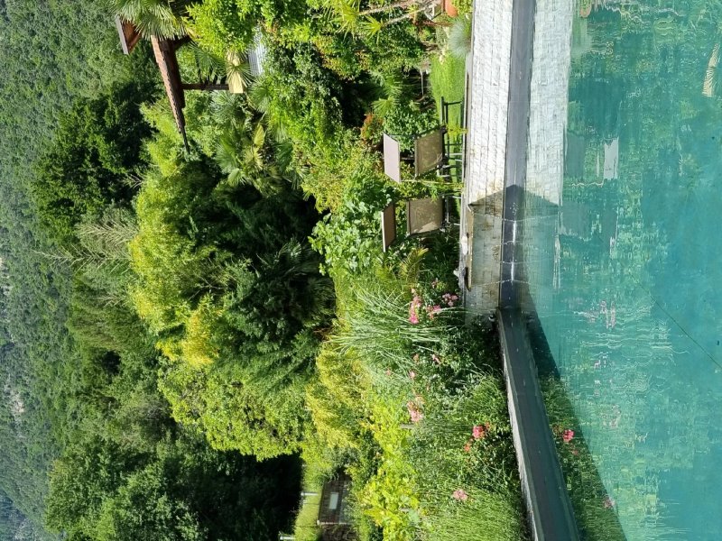 Garden-Apartment Die Muhle