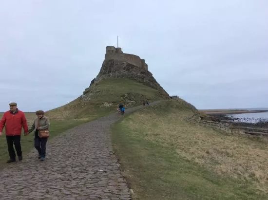 The Lindisfarne Gospels Garden