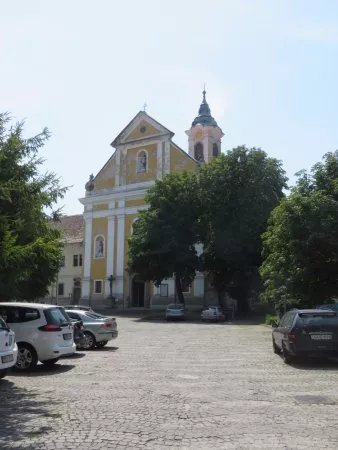 The Franciscan Church and Friary