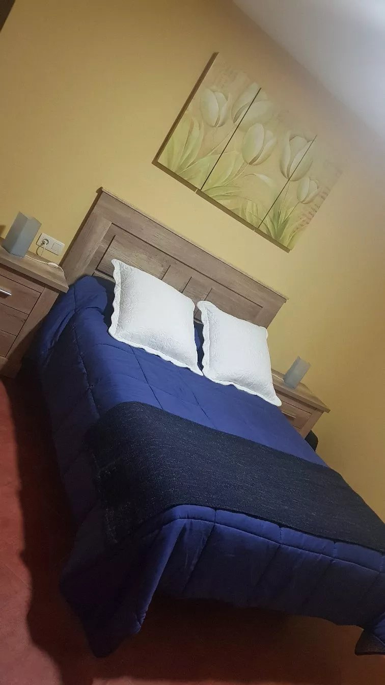 Apartamentos El Bosquetxu