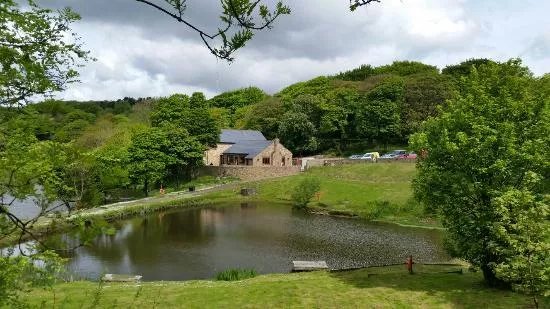 Curley's Trout Fishery