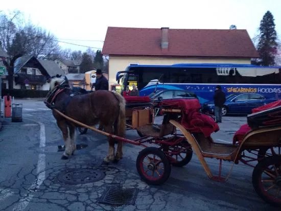 The Fiaker Coachmen of Bled