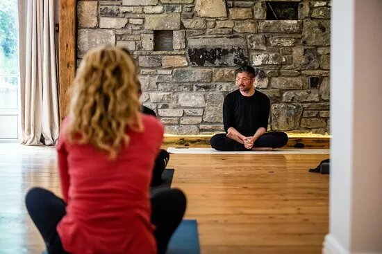 The Yoga Root