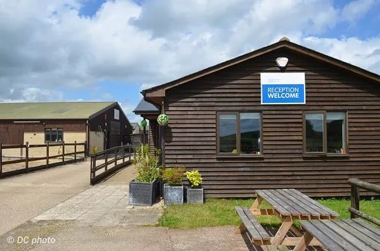 National Animal Welfare Trust Berkshire