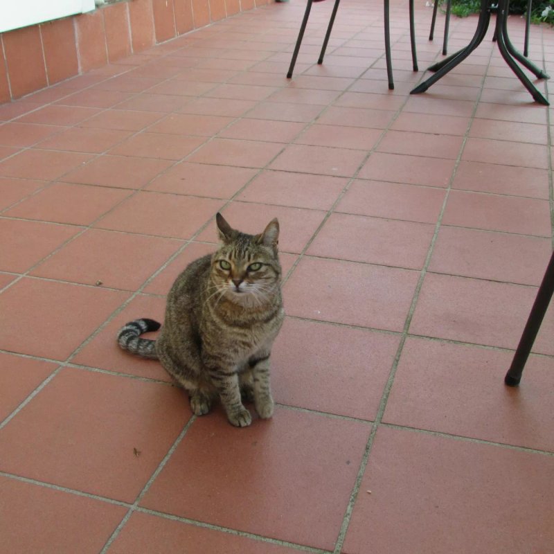 Agriturismo Fuccioli Ii