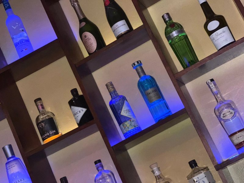Purple Fox Bar