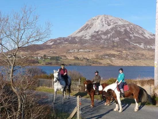 Wild Atlantic Equestrian Centre