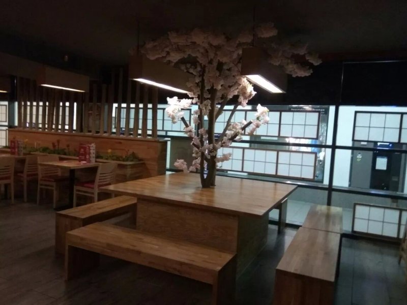 Sakura Sushi 3