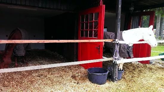 Joe's Polo Ranch