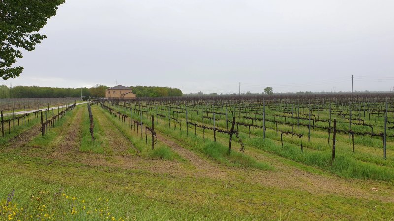 Agriturismo Vitae