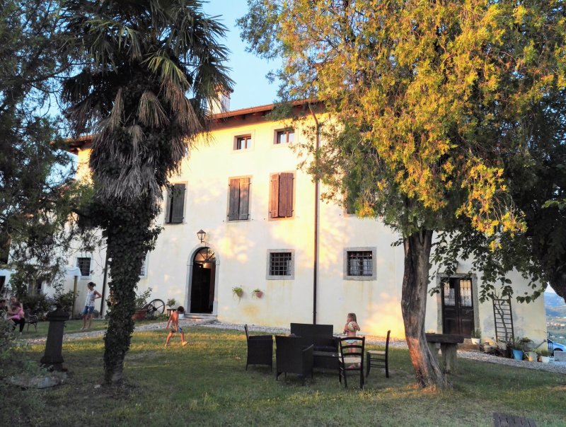 Vini Casa delle Rose