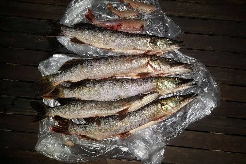 Fishing, cycling or just relaxing