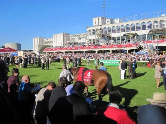 Leopardstown Racecourse