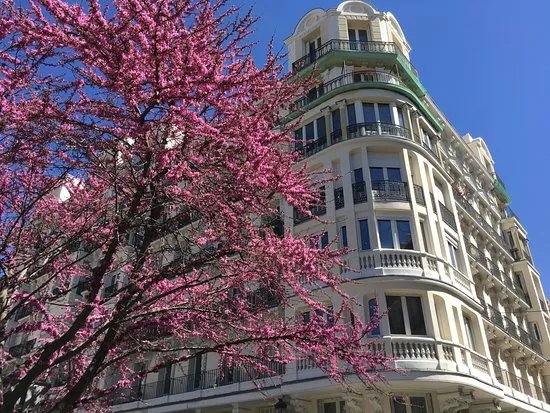Italiano A Madrid