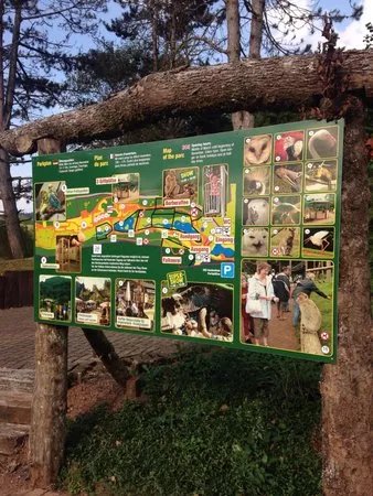Vogelpark Steinen