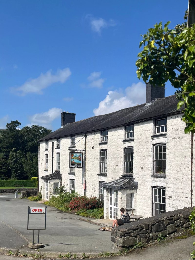 The Wynnstay Arms Hotel
