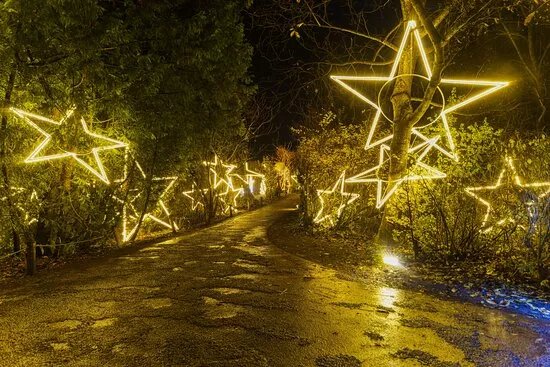 Christmas Garden Augsburg