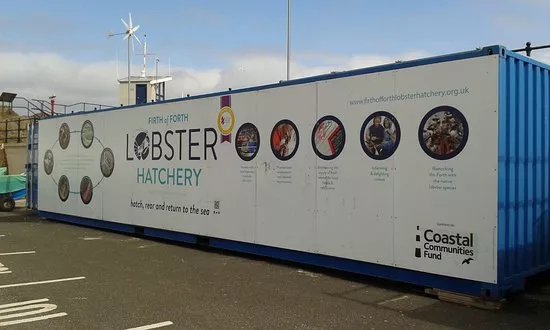 Firth of Forth Lobster Hatchery