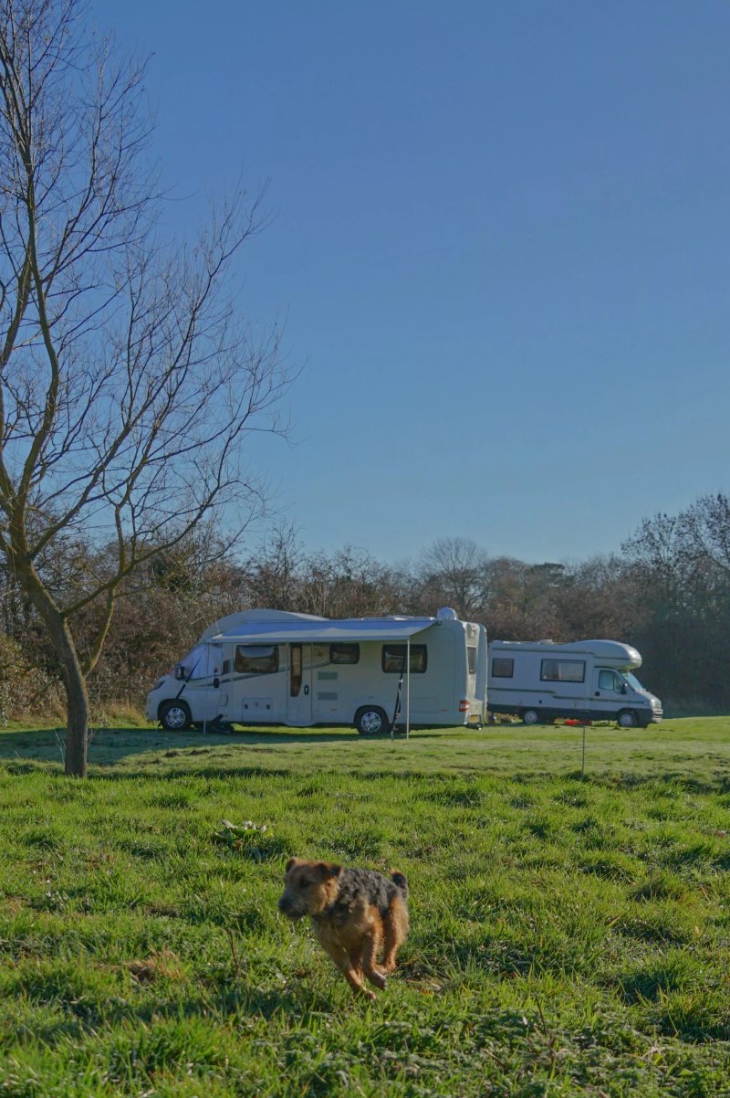 Little Owls Caravan & Camping