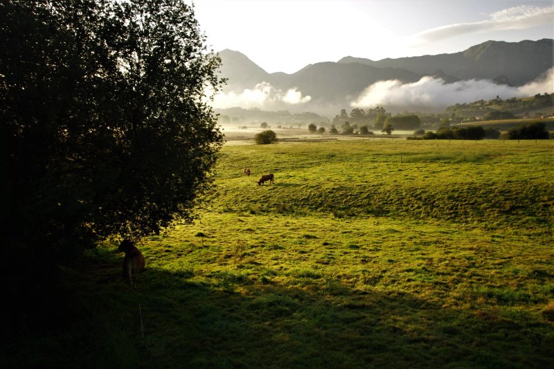 La Mediana Del Sella