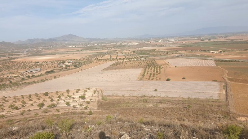 Cabezo Negro de Tallante