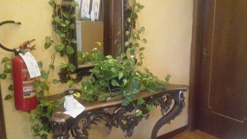 Albergo Ristorante Cavalli