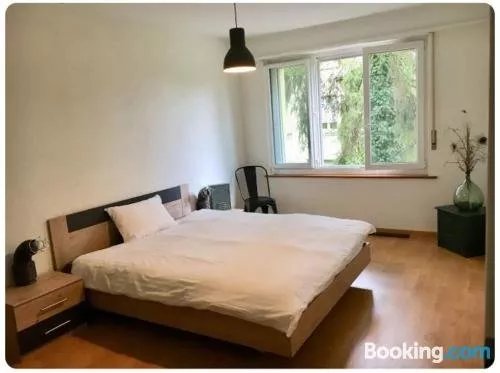 FRI47 - Room in Fribourg City