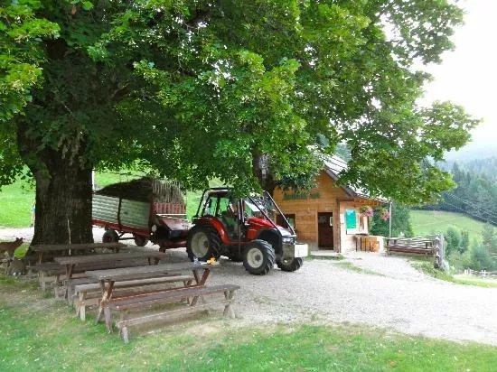 Tourist Farm Gradišnik