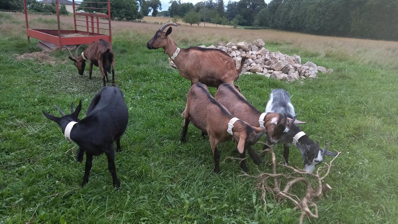 La Ferme de l'Usclade