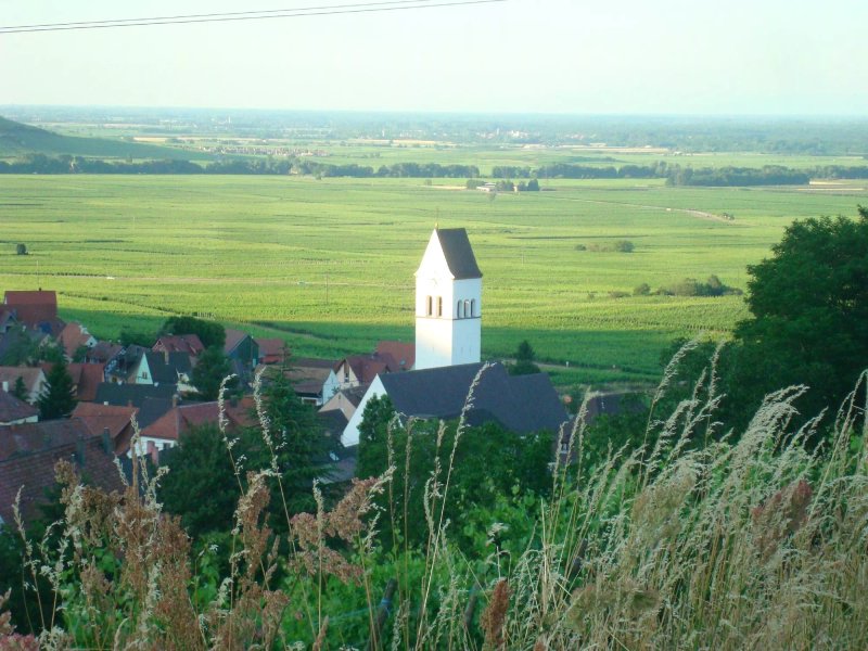 Vignoble Klur