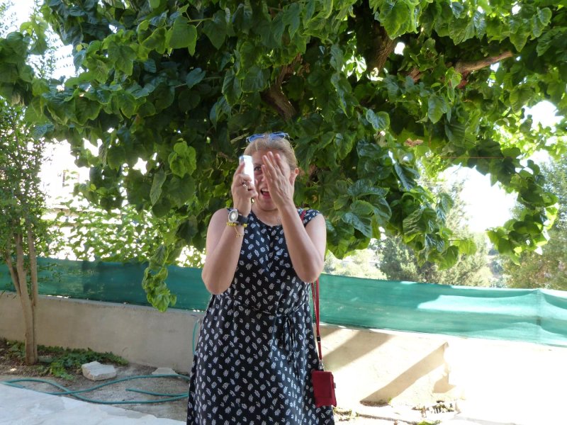 Agios Theodoros Cottage