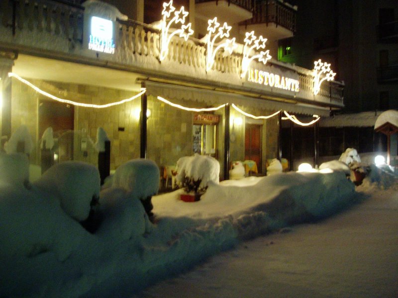 Hotel delle Alpi