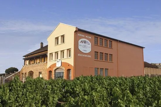Cave de Chaintre (Julienas Chaintre Vignerons Associes)