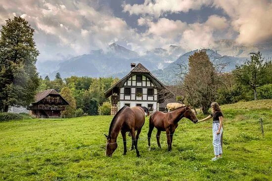 Ballenberg Swiss Open-Air Museum