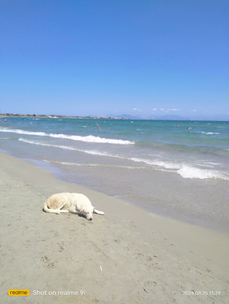 Paralia Artemidos