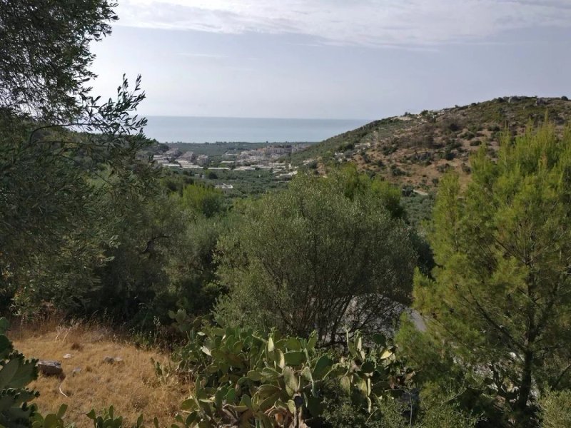 agriturismo Madonna Incoronata
