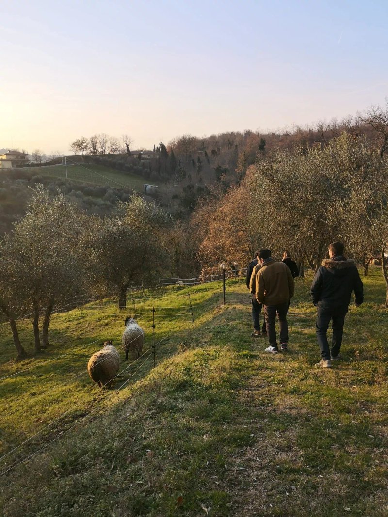 Il Poggio Dell'Artilla