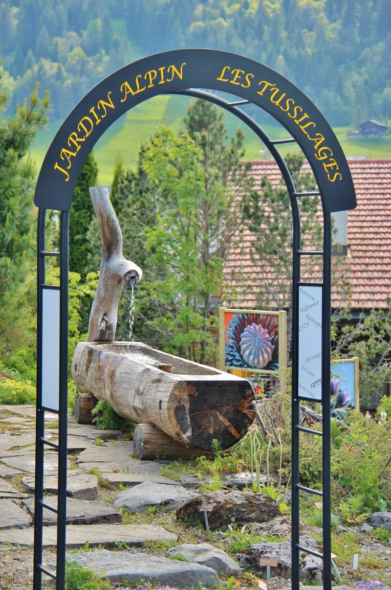 Jardin alpin Les Tussilages