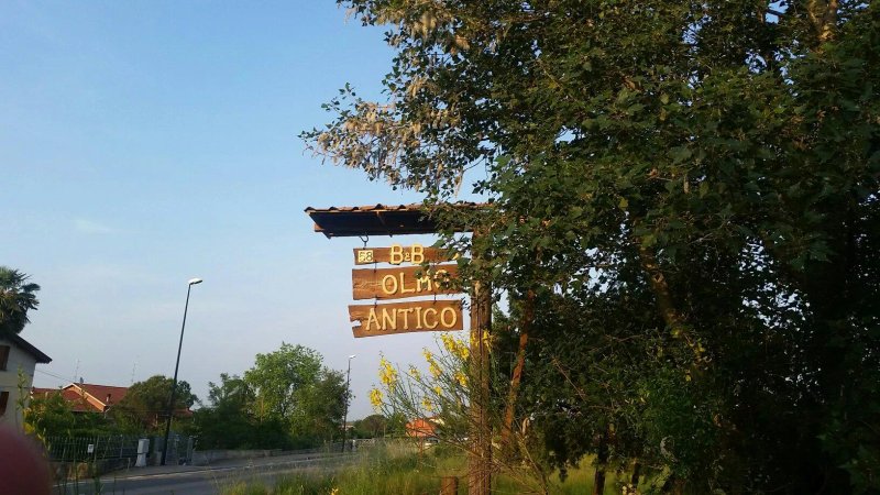 B&B Olmo Antico
